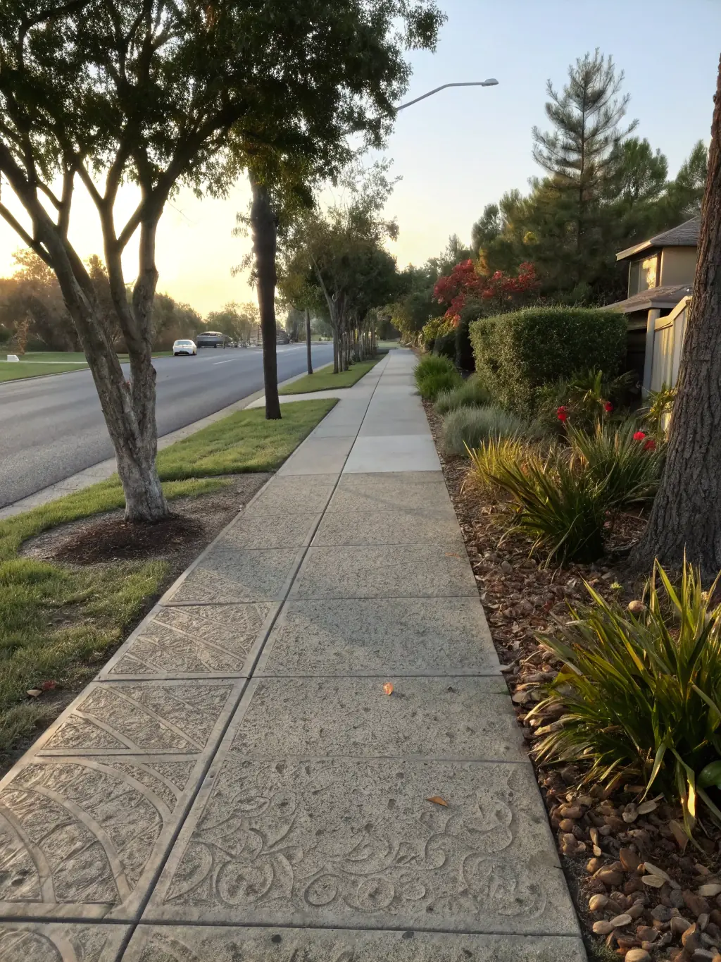 A concrete sidewalk leading to a house, highlighting the smooth finish and precise construction, with landscaping on either side.
